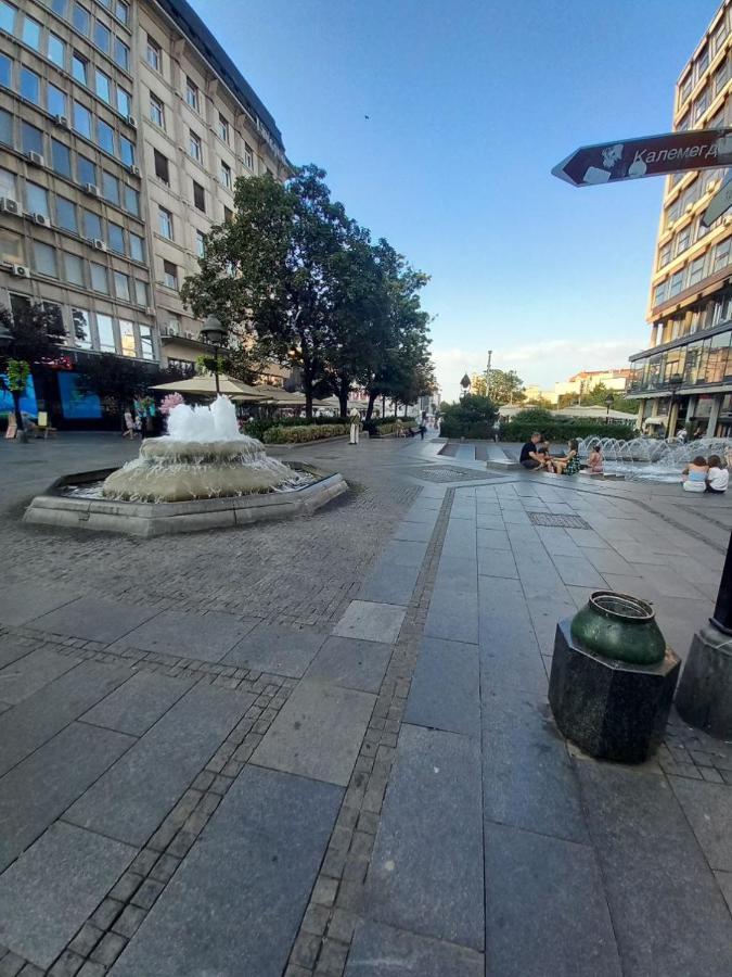 Skardarlija Pijaca Studio Apartment Belgrad Exterior foto